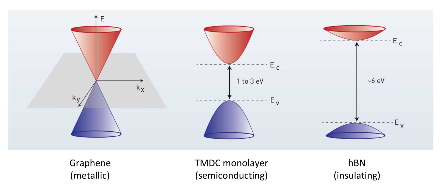 Graphical depiction of TMDCs